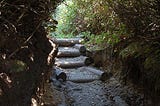 The Hobbit Trail — An Enchanting Hike to Hobbit Beach