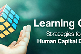 Building a Learning Culture: Strategies for Continuous Human Capital Development