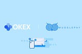 How to shop with your OKEx account?
