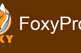 Guide d’Installation Pas à Pas de FoxyProxy pour BurpSuite