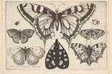 #010–015: Viridian Forest Insects