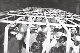 The Disturbing Story Behind the Largest Mass Deportation in US History