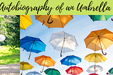 Autobiography of an Umbrella