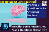 Consciousness: Where and What Are You?