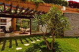 Total Environment Pursuit of a Radical Rhapsody, A Luxurious Living Experience.