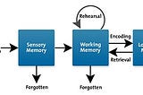 The Neuroscience of Mental Imagery as it Relates to Athlete Performance