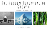 The Hidden Potential of Growth