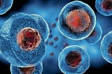 Stem Cells