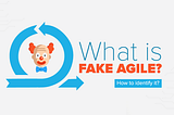 What is Fake Agile? How to identify it?