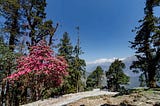 Tungnath Temple and Trek-The Best Bet To See Majestic Himalayan peaks