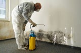 5 Common Signs of Mold In Your Basements