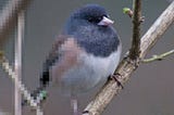New breakthrough in image super-resolution