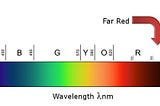 VITALUX專業植物燈：遠紅光譜如何影響植物？