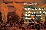 5 BS Facts about Scaling Your Budget that Everyone Thinks are True