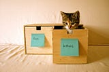 Static vs src/assets in Vue CLI Webpack Templates