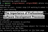 The Importance of Professional Software Development Processes