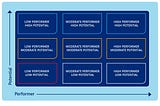 What is 9 box talent matrix in succession planning?