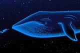 Whales : Dive Into the Concentrations of Large Crypto Holders