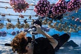 Octopus’s Garden — Ethos