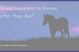 What happens to horses / pets after they die? | Trisha Wren
