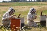 Beeapocalypse and Bias: How the New York Times has fumbled the neonicotinoid pesticides and bee…