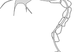 Peripheral Neuropathy