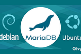 How to install MariaDB 10.6 on Debian 12 and Ubuntu 24.04