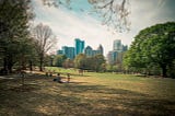 Explore Atlanta’s Top Four Parks: Natural Escapes in the City