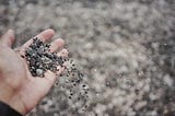 Are we weeding out our best stuff?