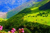 Valley Of Flowers Trek — An Enchanting Once In A Lifetime Experience For Nature Lovers And…