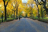 NYC nature spots to take pictures in