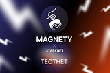 Magnety Finance Testnet Guide