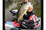 Learn the art of fishing with a fishing app