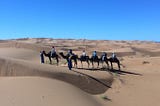 Camel Trekking Morocco — A Fascinating Experience In Itself