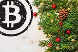 Institutional Investors Ensure Early Christmas for the Crypto World