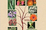 READ/DOWNLOAD=$ Plant Systematics: A Phylogenetic Approach, Third Edition FULL BOOK PDF & FULL…