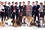 Basic Considerations When Choosing A New Puppy: Alpha Dog Technology