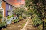 Sunset colourful Newcastle Street, Colour My World, Mandy Charlton, Photographer