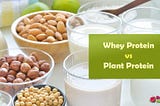 Whey Protein vs Plant Protein: Which One is Better?