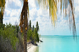 Best Beaches For Your Personality Type: Discover a New ‘You’ Travel Guide — Nina Zapala