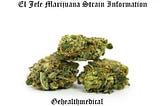 El Jefe Marijuana Strain Information