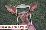 Instagram Reels 新登場！如何用來推廣？它有什麼獨特之處？
