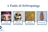 A Beginner’s Guide to the 4 Fields of Anthropology