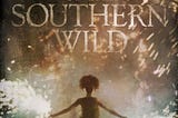 The success of an unusual story“Beasts of the Southern wild”