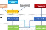 Label Forwarding Information Base (LFIB) & Label Information Base (LIB) in MPLS