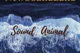Sound Animal — NewSoundLand [Dark Ambient, Review]