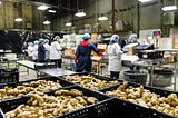 Produce being repackaged in wholesale industrial warehouse.