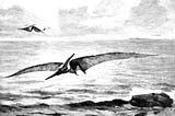The Largest Creature That Ever Flew.