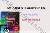 SM-A205F U11 Autopatch File Os11{Reset No Lost Network} [Without any Tools Just Flash by Odin3]…