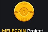 The MELECOIN Token — An Advantageous Way to Own Physical Gold without the Burden of Storage